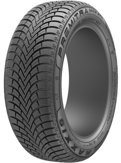 Talvirengas Maxxis Wp6